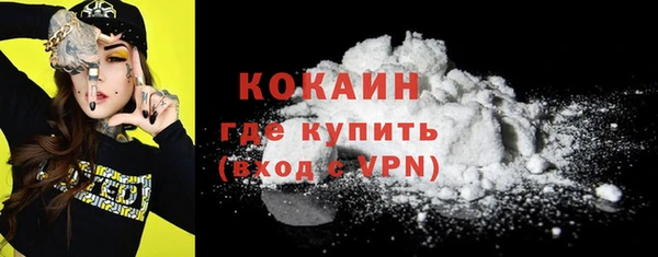 бошки Няндома