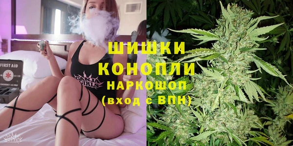 твердый Осинники