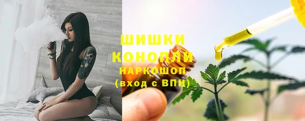 твердый Осинники