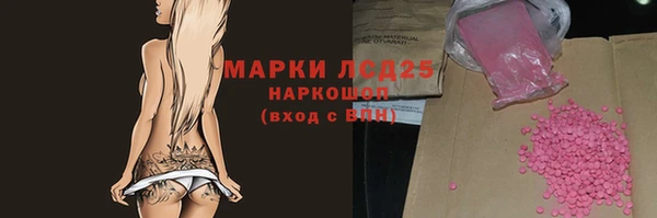 амф Осташков
