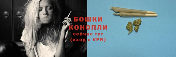 твердый Осинники